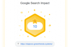 1_Sta-je-ovo-Google-search-impact